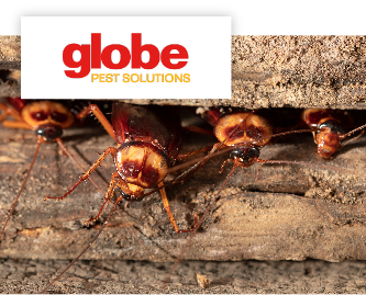 Globe Pest Solutions